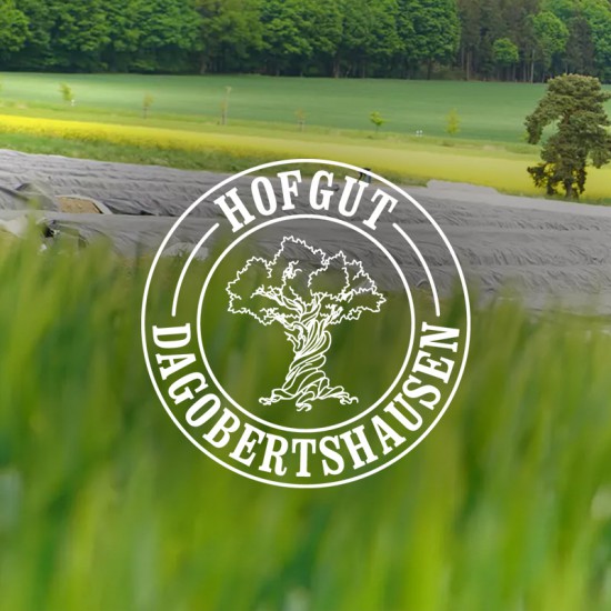 Box Hofgut Dagobertshausen